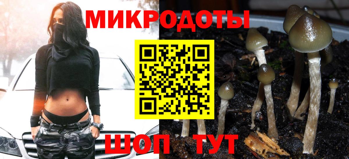 Псилоцибиновые грибы Psilocybine cubensis  Псилоцибиновые грибы Psilocybine cubensis  Вход с VPN  Сургут 