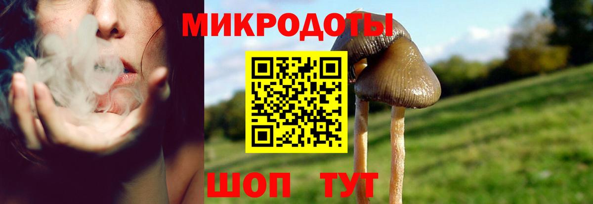 Псилоцибиновые грибы Magic Shrooms Сургут